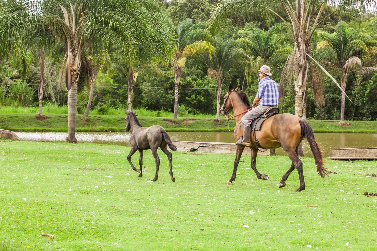 Hotel Fazenda Igarapes Εξωτερικό φωτογραφία